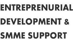 ENTREPRENURIAL DEVELOPMENT &  SMME SUPPORT